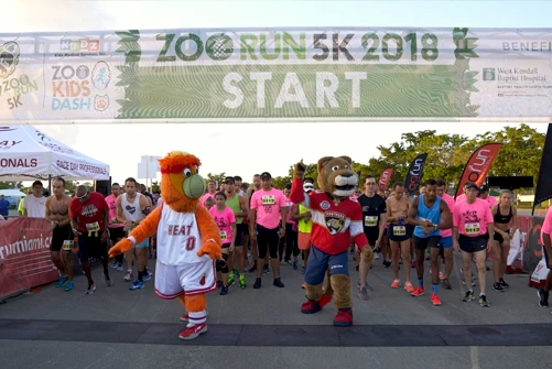 Moccai Films Events,Zoo Run 5K 2018